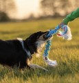 IMG_4366.jpeg