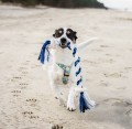 IMG_4367.jpeg