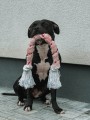 IMG_3049.JPG